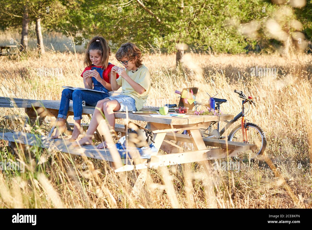 Un garçon et une fille de dix ans se grignoter sur une table en bois dans la campagne, avec des fruits, des sandwiches et de l'eau. Banque D'Images