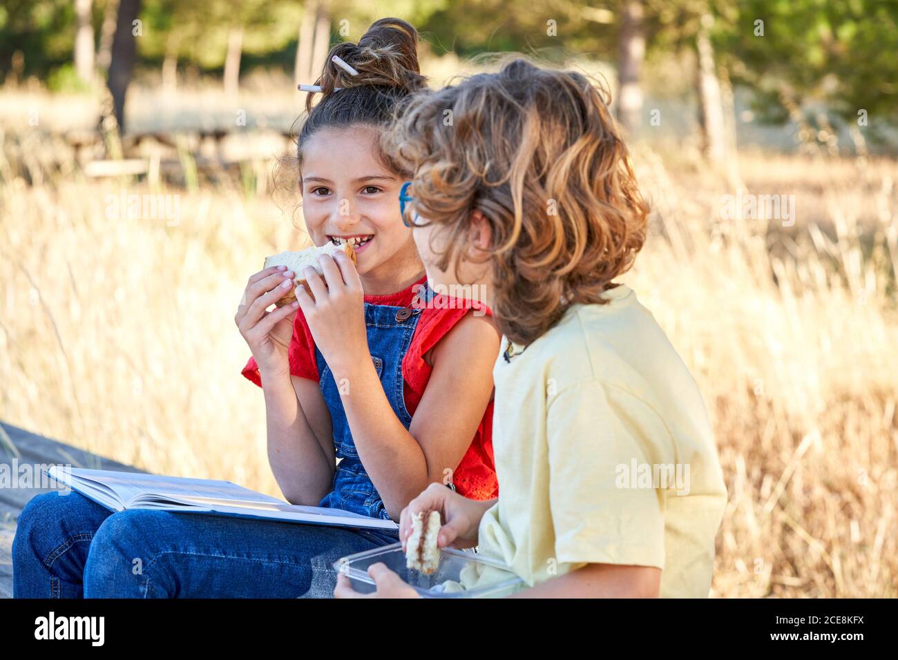 Un garçon et une fille de dix ans se grignoter sur une table en bois dans la campagne, avec des fruits, des sandwiches et de l'eau. Banque D'Images