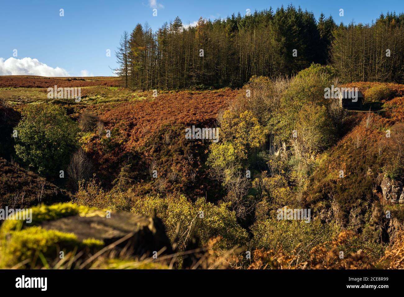 Arbres de couleur automnale dans la vallée de Glenariff Forest Park avec chute d'eau et abri en bois, Comte Antrim, Irlande du Nord Banque D'Images