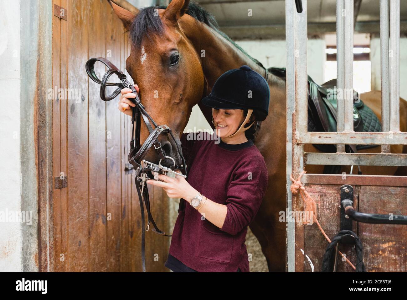Dressage Horse Banque d'image et photos Alamy