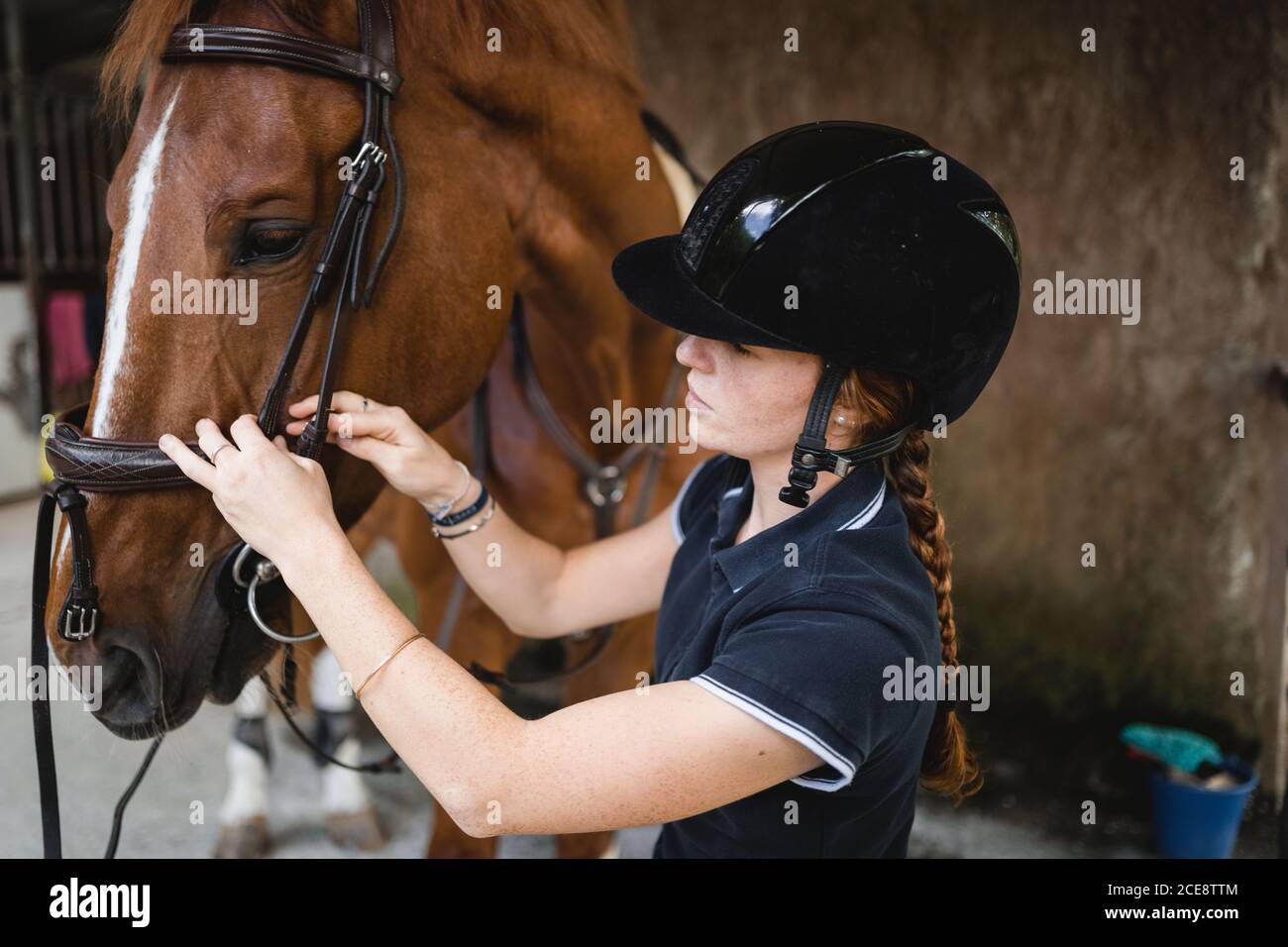 Vue latérale d'une équestrienne occupée dans un casque stabilité et préparation du cheval pour l'entraînement tout en mettant le bridle Banque D'Images