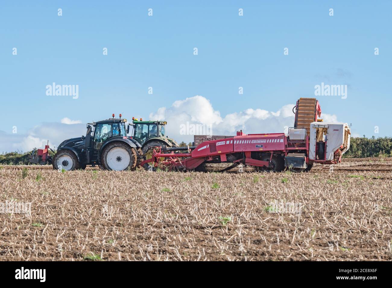 Récolte de pommes de terre 2020 au Royaume-Uni avec une récolteuse de pommes de terre Grimme tirée par un tracteur Valtra et une remorque transportée par un tracteur Claas Arion 640. Producteurs alimentaires du Royaume-Uni. Banque D'Images