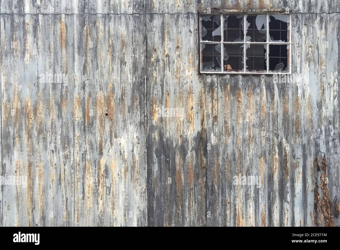 Un pittoresque mur de fonte ondulée d'un hangar avec une fenêtre avec des volets cassés Banque D'Images