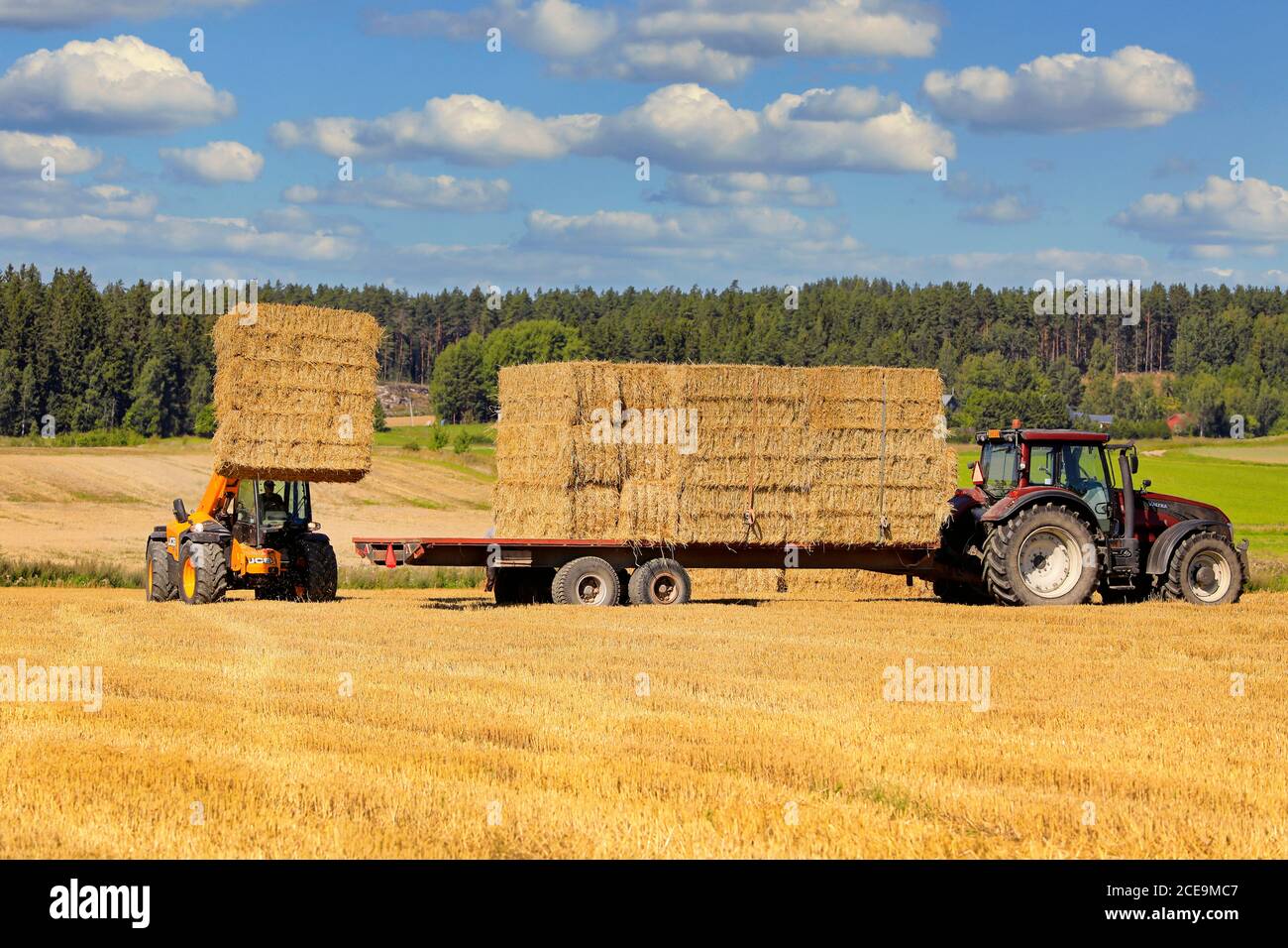 L'empilage de balles de paille sur un tracteur Valtra a tiré une remorque agricole avec le téléchargeur JCB T4 dans un champ de chaume. Salo, Finlande. 16 août 2020. Banque D'Images