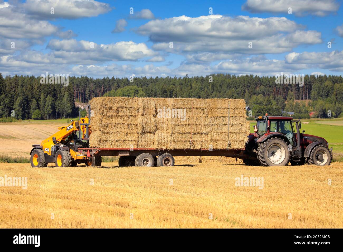 Le téléchargeur JCB T4 empilant des balles de paille sur un tracteur Valtra a tiré une remorque agricole sur un terrain de chaume par beau temps. Salo, Finlande. 16 août 2020. Banque D'Images