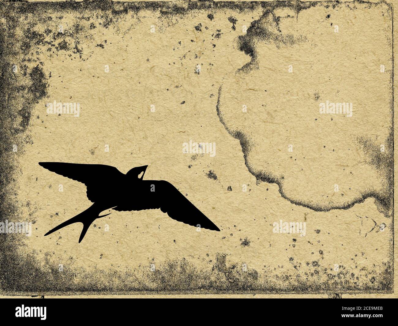 Sur flying swallow grunge background Banque D'Images