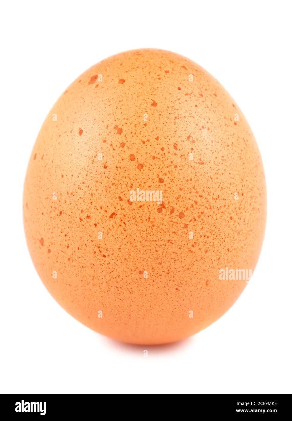 Oeufs bruns Banque D'Images