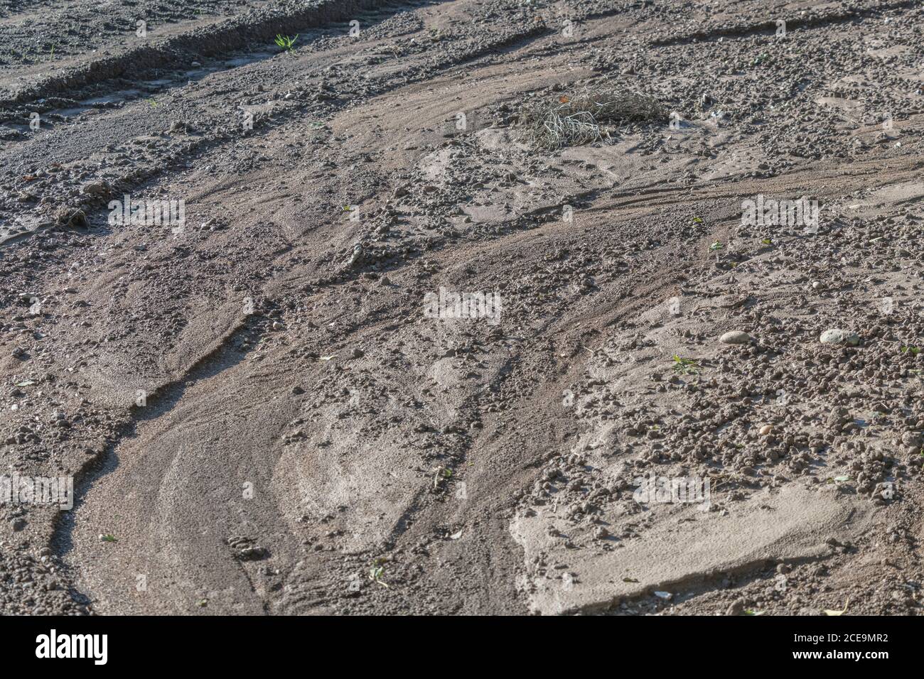 Érosion grave de l'eau de pluie dans un champ de pommes de terre où l'eau a lavé les rangées les plus basses de pommes de terre. Effets de fortes pluies. Voir les remarques supplémentaires. Banque D'Images