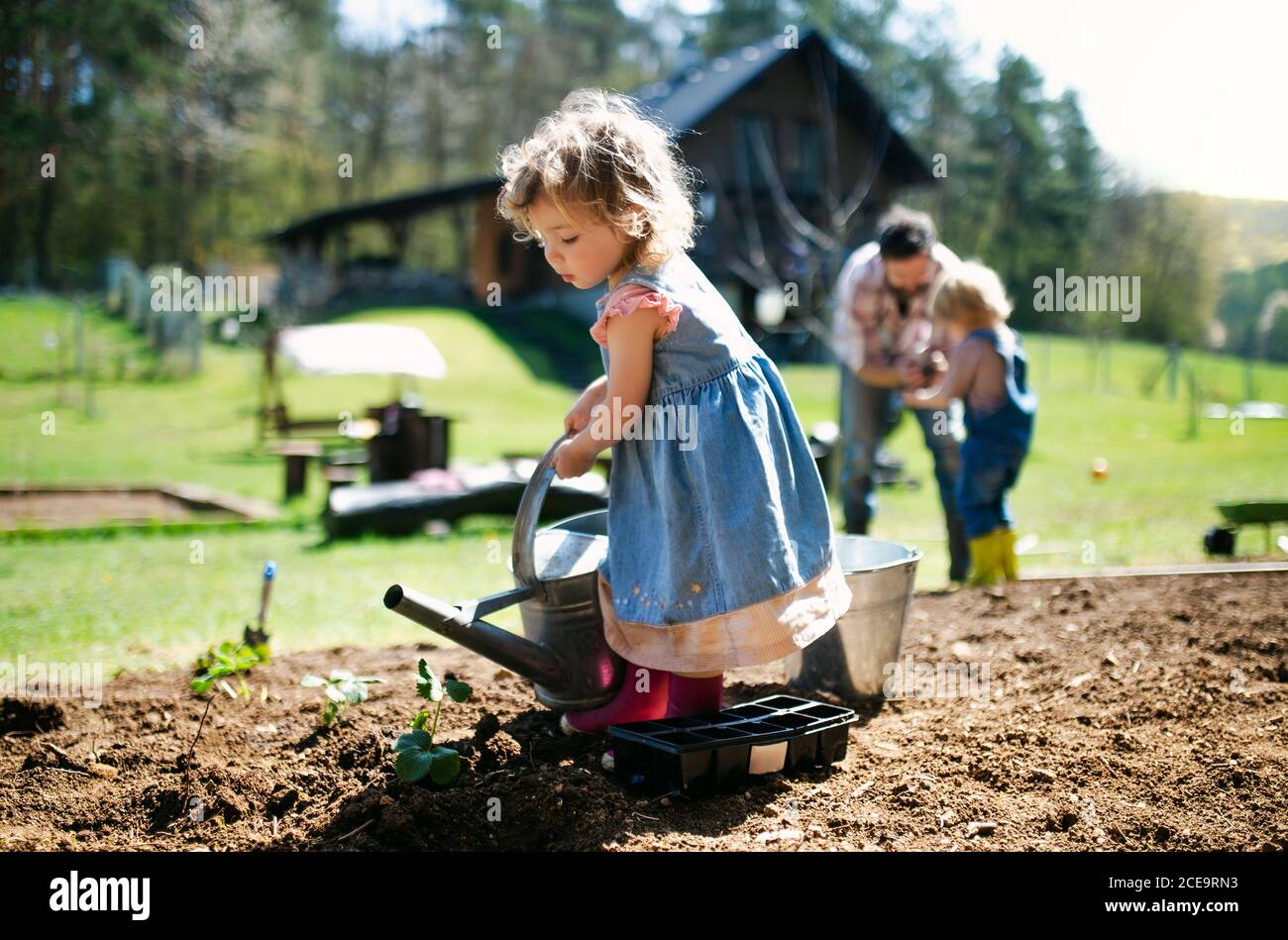 Petite fille arrosoir dehors dans le jardin, concept de style de vie durable. Banque D'Images