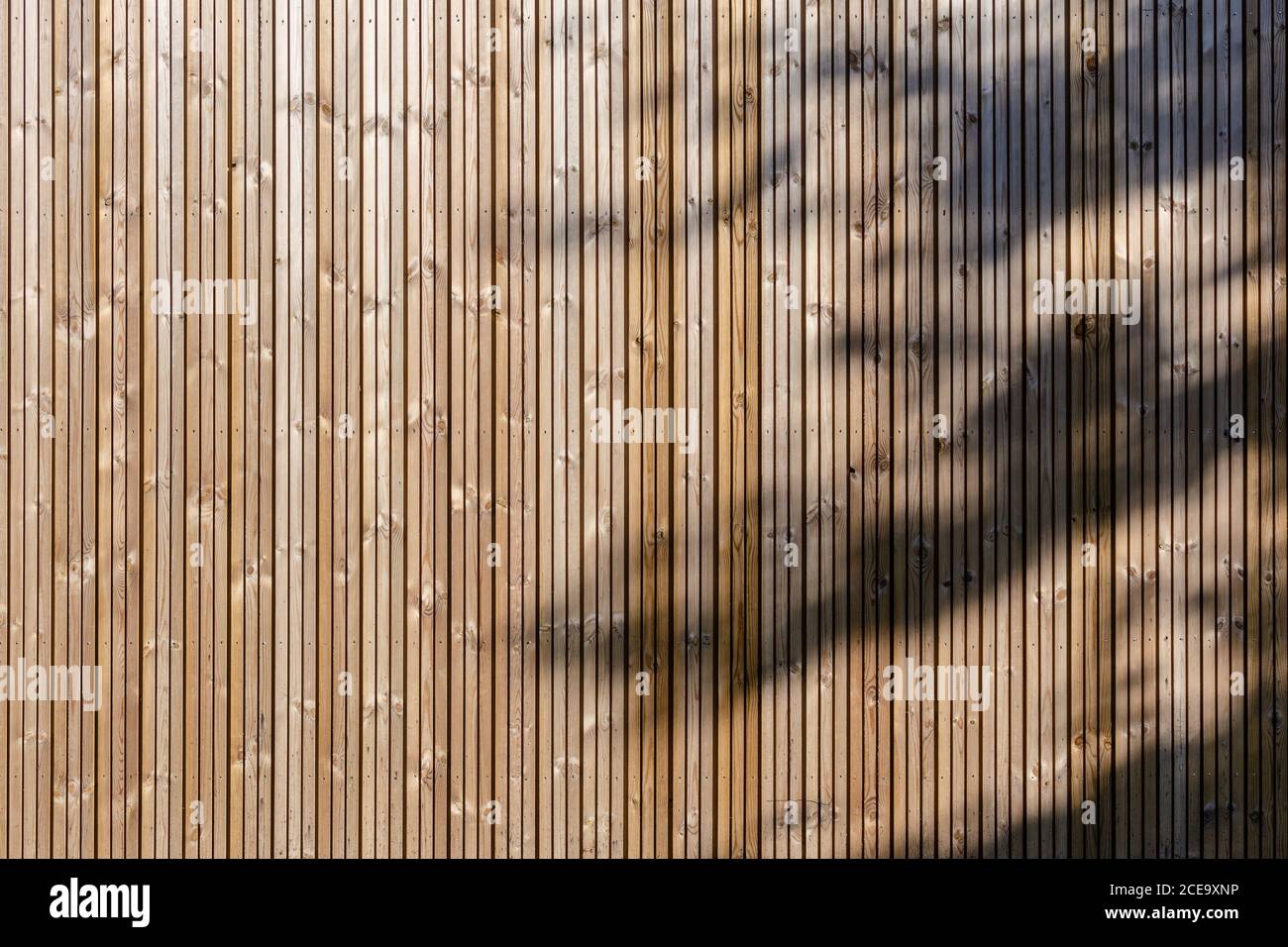 Façade écologique moderne en bois avec ombre d'arbre. Texture d'arrière-plan du panneau en bois Banque D'Images