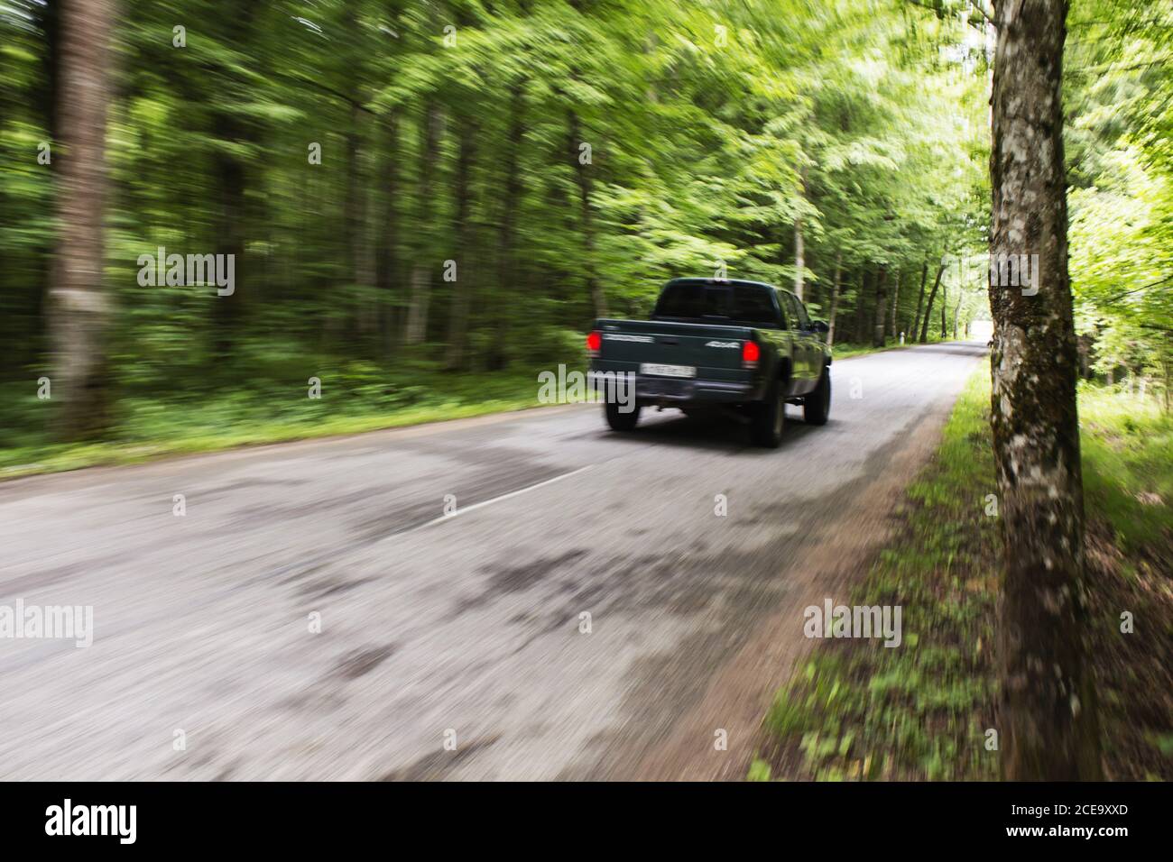 Vue latérale d'un pick-up noir dans les bois Banque D'Images