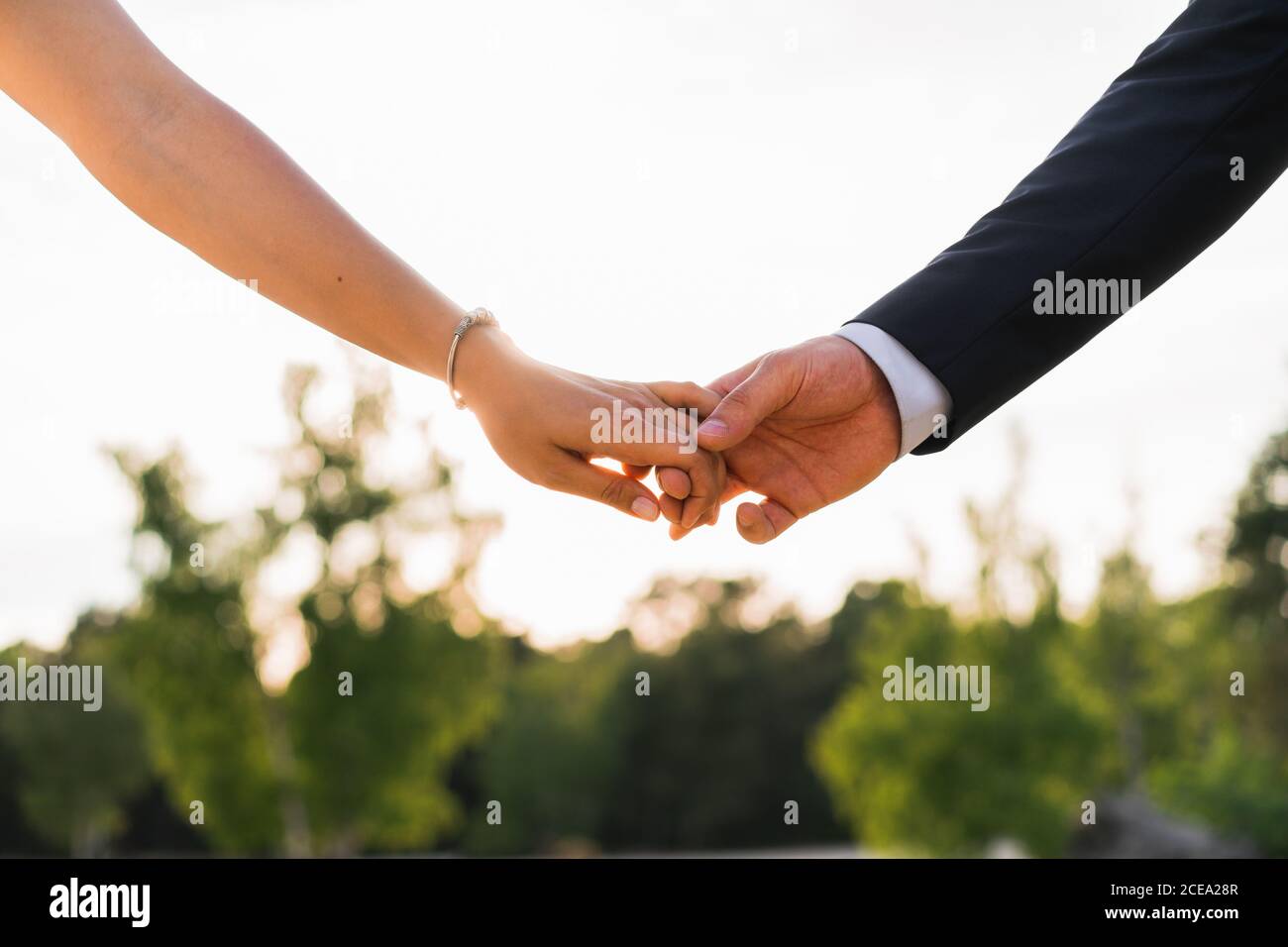 Récolte de l'homme et de la femme tenant les mains tendinement contre les arbres verts sous un soleil éclatant Banque D'Images