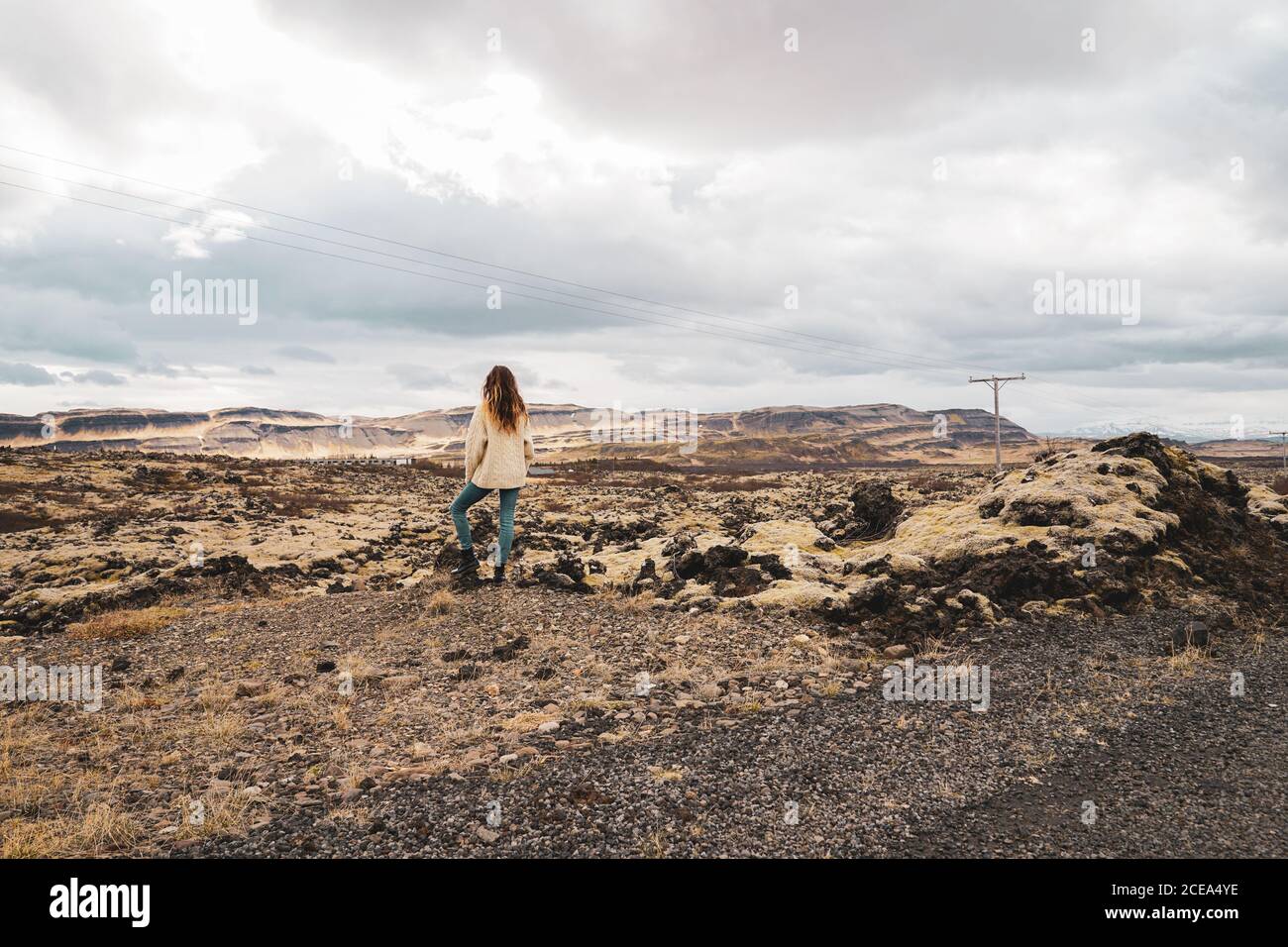 Vue arrière de la femelle avec de longs cheveux debout sur une plaine pierreuse avec de l'herbe jaune et regardant les montagnes éloignées et le ciel nuageux gris à Namaskardh, Islande Banque D'Images