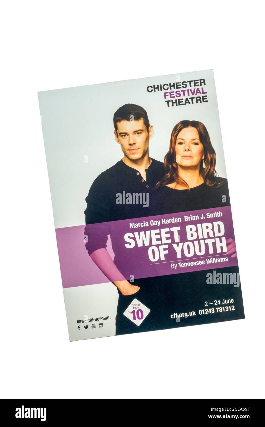 Dépliant promotionnel pour Sweet Bird of Youth par Tennessee Williams au Chichester Festival Theatre, 2017. Banque D'Images