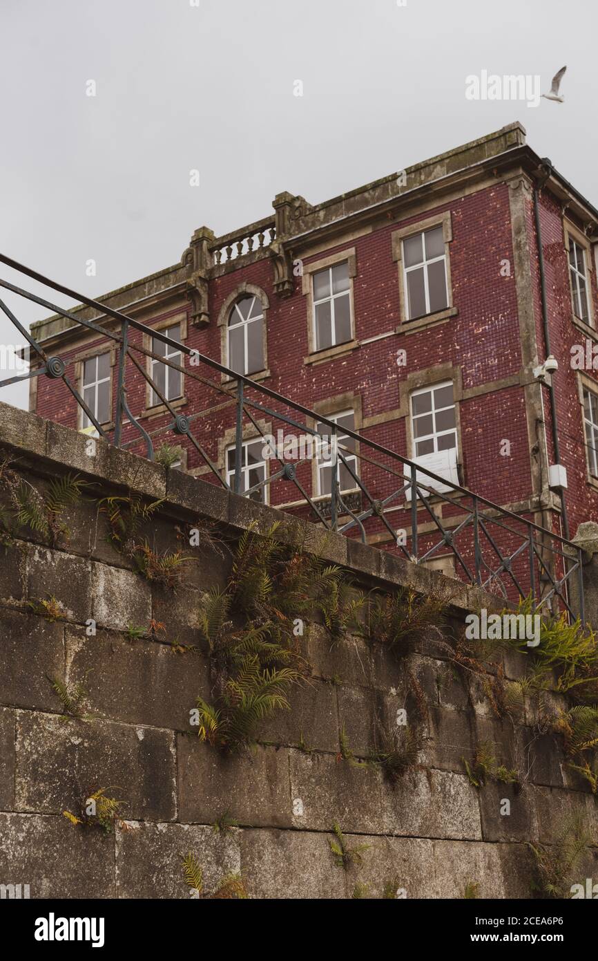 Depuis le mur inférieur avec plante, maison en brique rouge, oiseau volant et ciel gris nuageux à Porto, Portugal Banque D'Images