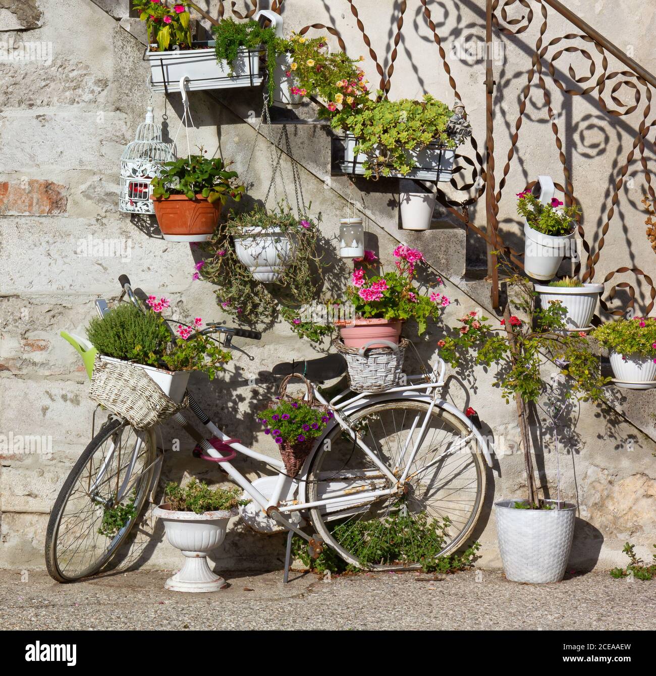 Mur extérieur d'un bâtiment, avec un vieux vélo et un escalier, richement décoré avec beaucoup de pots de fleurs Banque D'Images