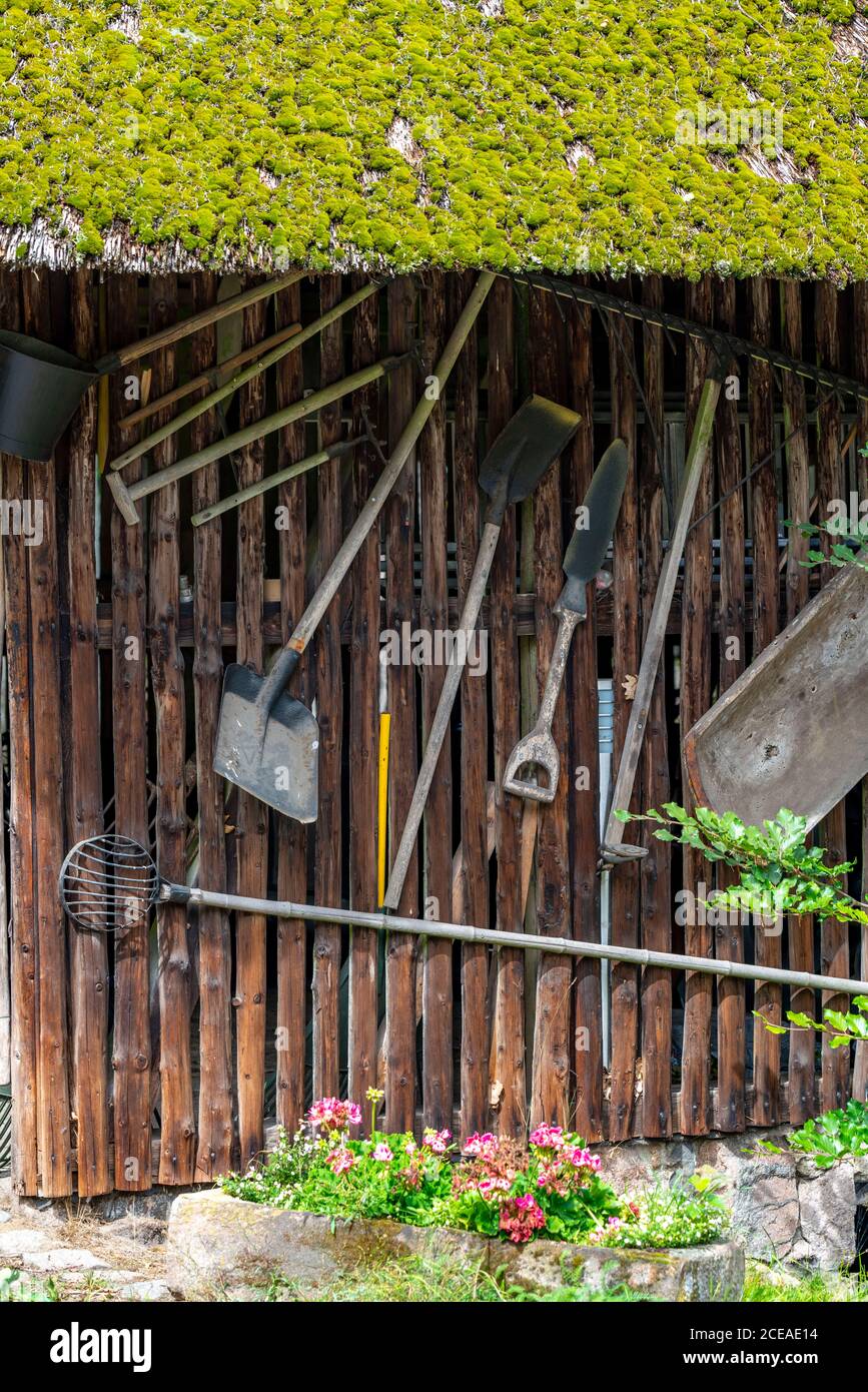 Le village de Wilseder, vieilles fermes, dans la réserve naturelle de Lüneburger Heide, Basse-Saxe, Allemagne Banque D'Images