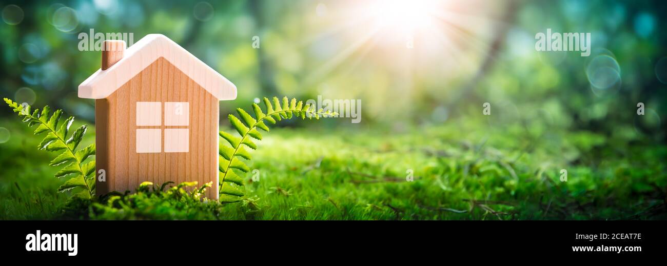 Petite maison en bois dans le jardin de Mossy avec la lumière du soleil - environnement Concept de logement convivial Banque D'Images