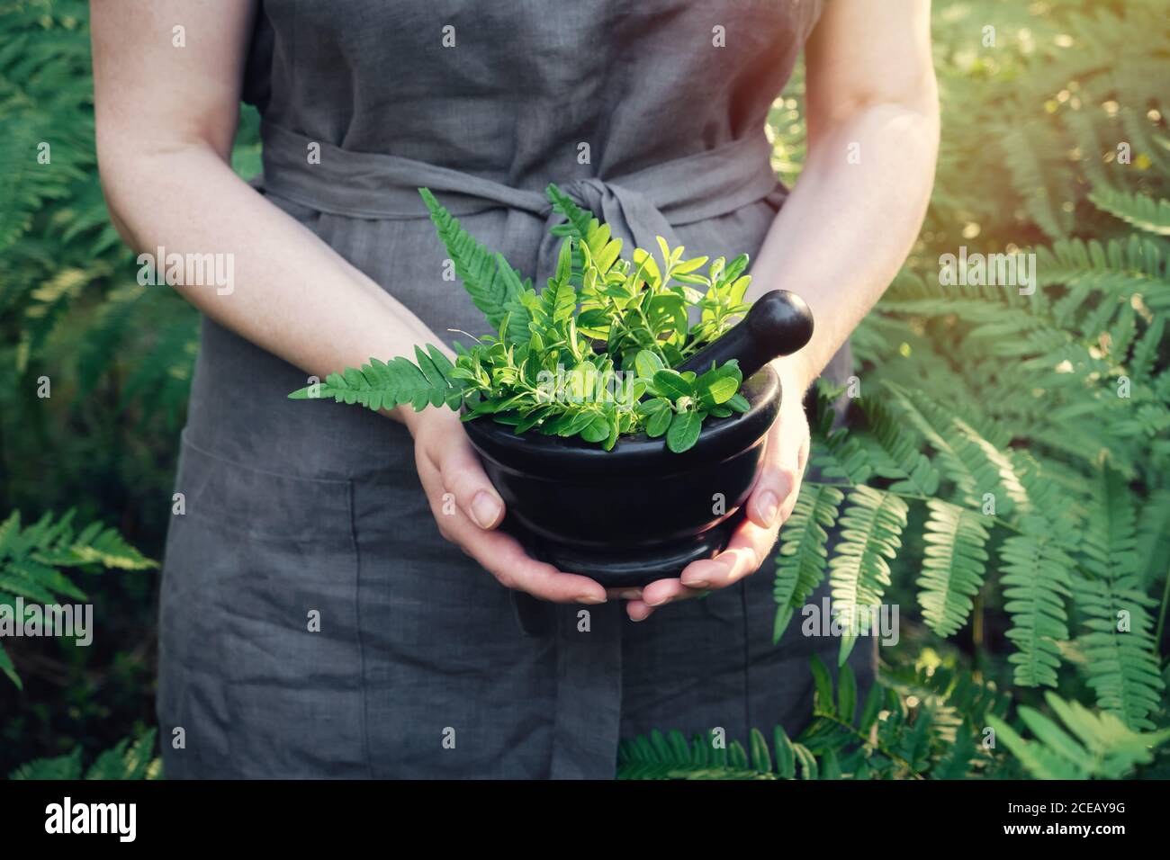 Femme tenant dans ses mains un mortier d'herbes médicinales. Herboriste femme rassemblant des plantes de guérison en plein air. Banque D'Images