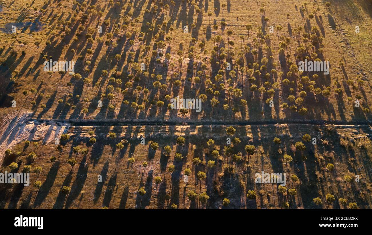 Vue aérienne dans la nature au coucher du soleil Banque D'Images