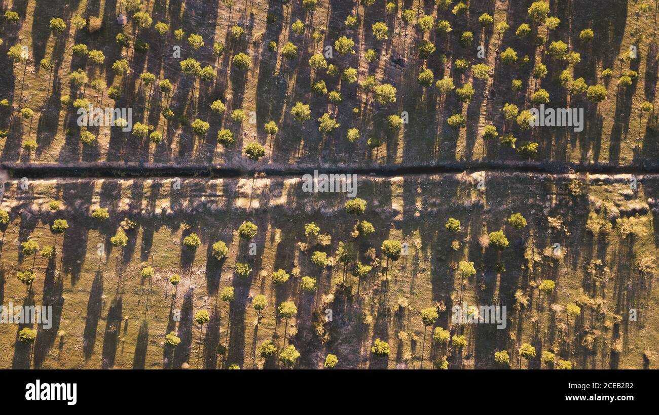 Vue aérienne dans la nature au coucher du soleil Banque D'Images