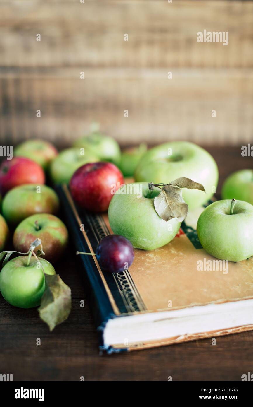 Tas de pommes mûres et de petit plum couché sur shabby vieux livre sur table en bois Banque D'Images