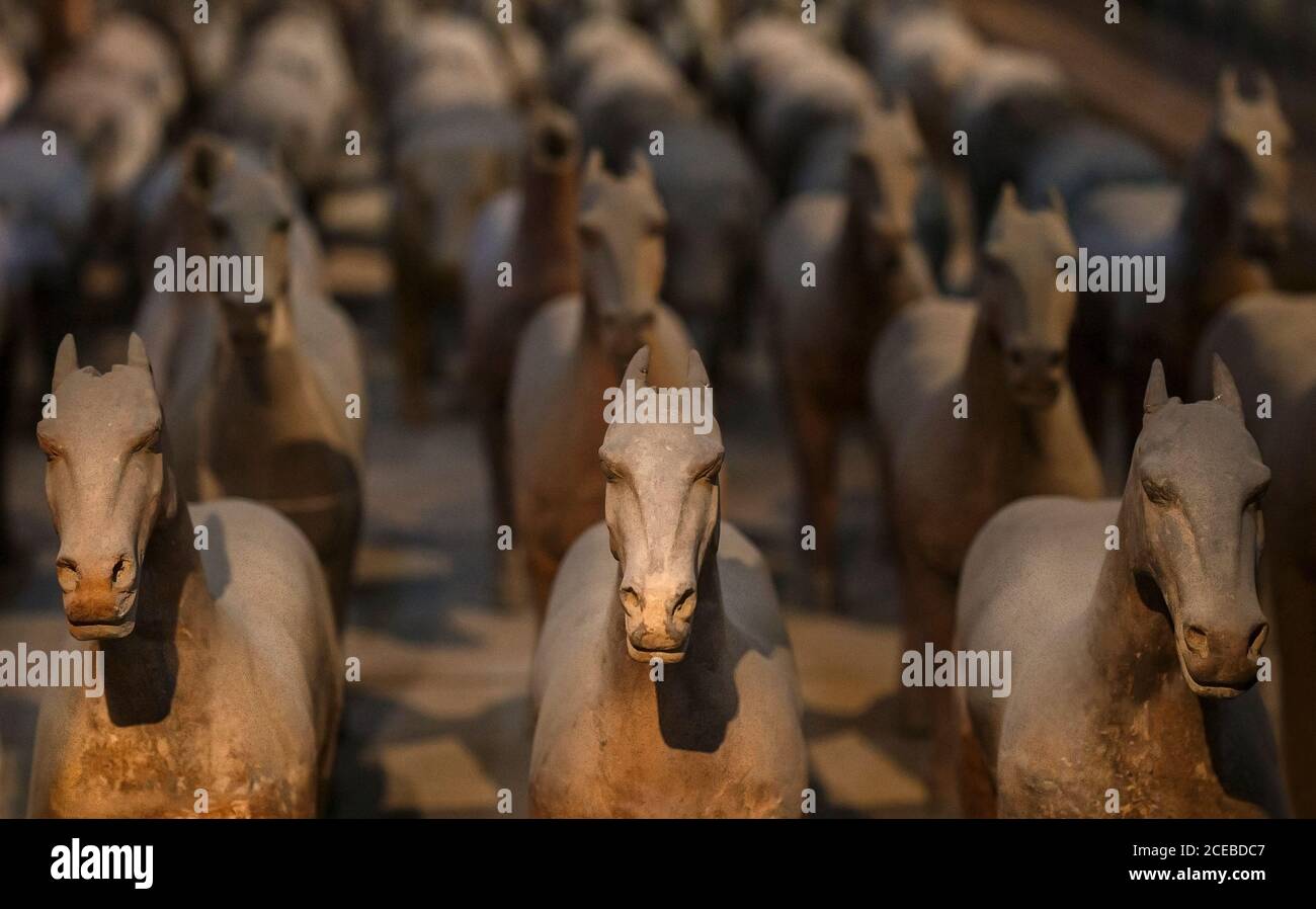 Les chevaux en terre cuite de Xian, Chine Banque D'Images