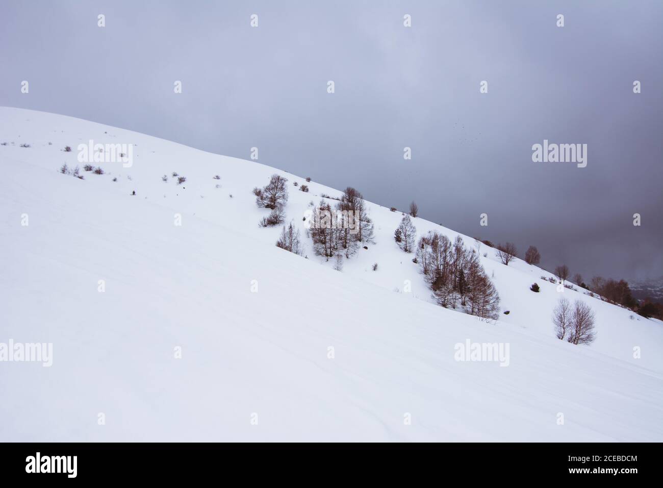 Colline enneigée et arbres sans feuilles Banque D'Images