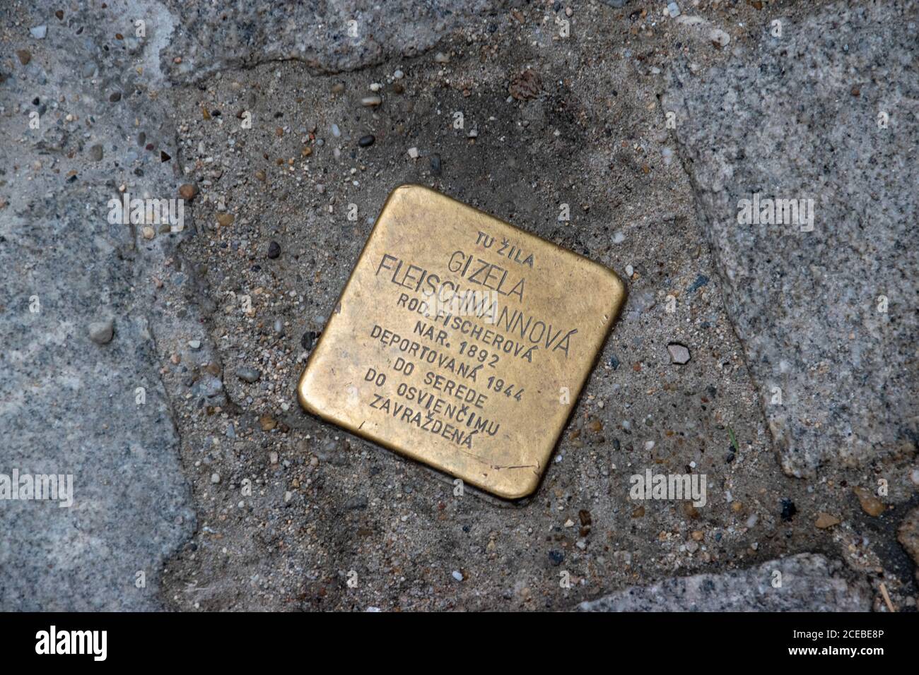 Une pierre de Stolperstein littéralement « pierre de chute » à Bratislava, Slovaquie. Ces marqueurs marquent les maisons des résidences juives tuées dans l'holocauste. Banque D'Images