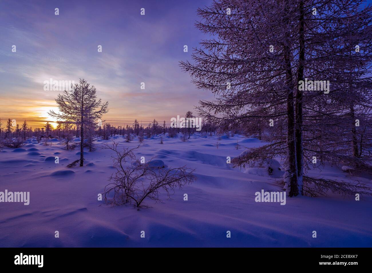 Hiver snowscape Paysage d'hiver avec forêt, ciel nuageux et soleil. Paysage de soirée d'hiver. Banque D'Images