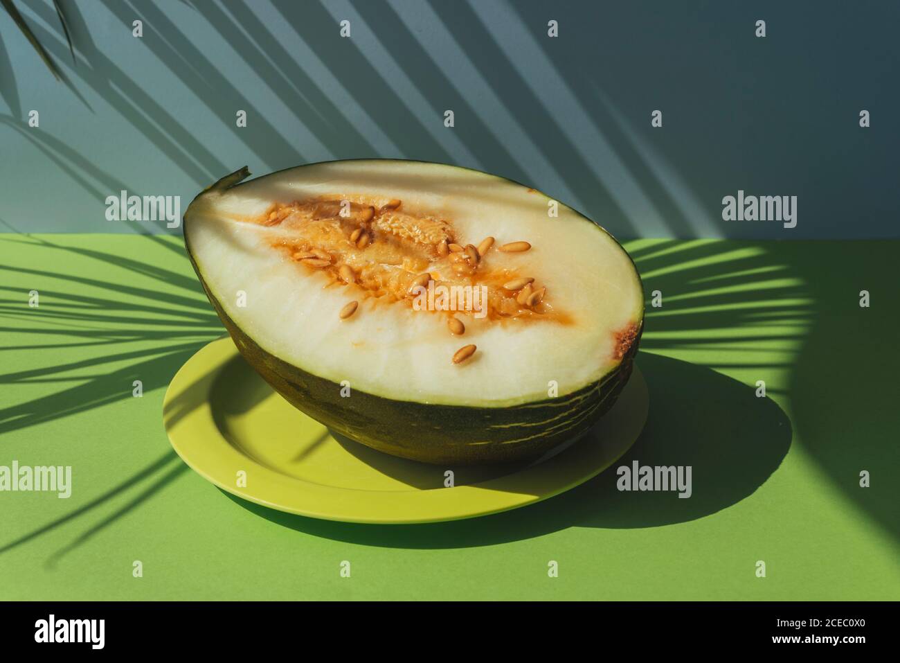 Peau de crapaud demi-melon, thème d'été coloré. Sur fond bleu et vert, ombres des feuilles de palmier Banque D'Images