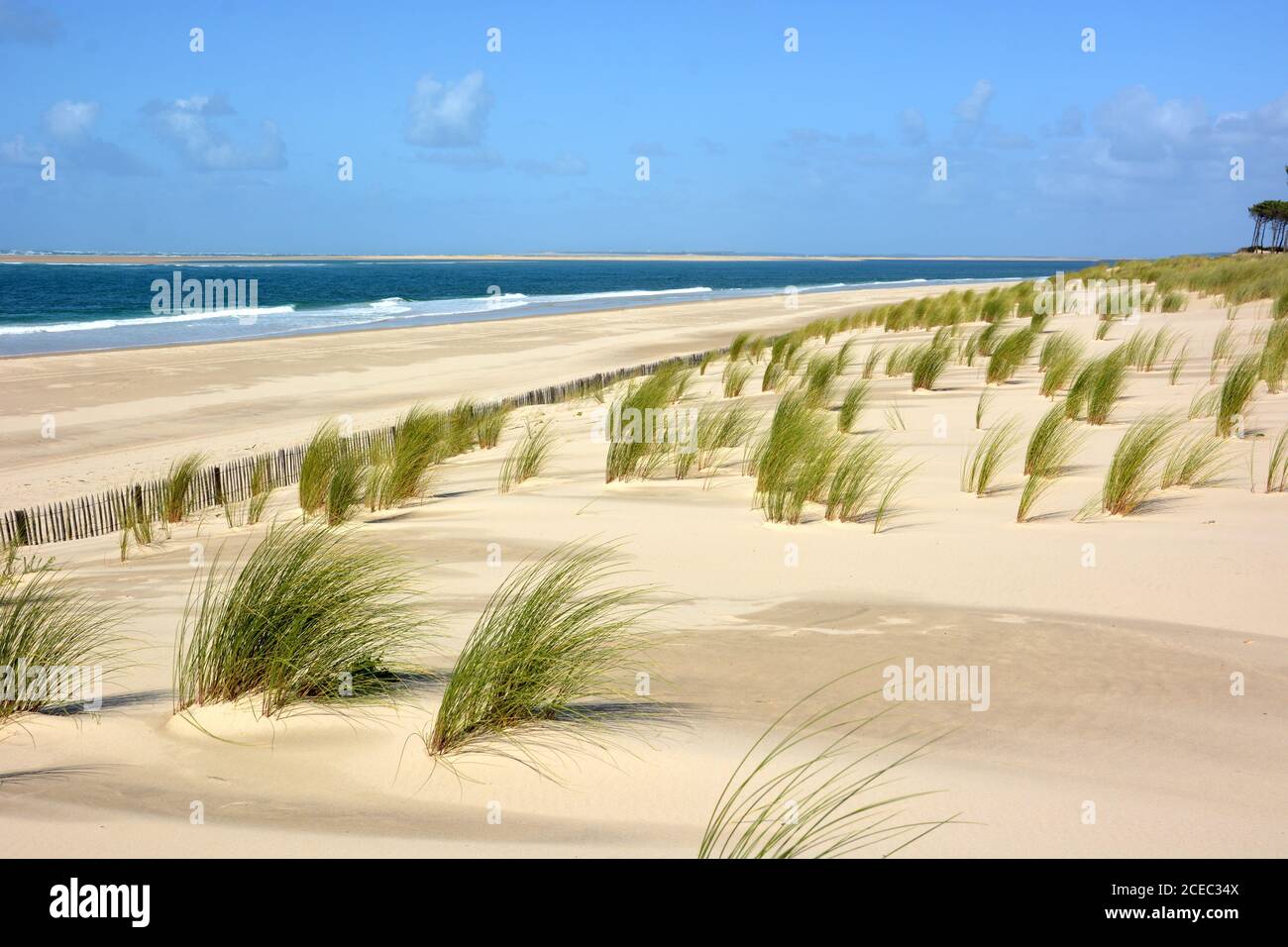 France, Aquitaine, Gironde, bassin d'Arcachon, la côte atlantique est formée par une immense plage de sable bordée de dunes et de vawes permettant le surf. Banque D'Images