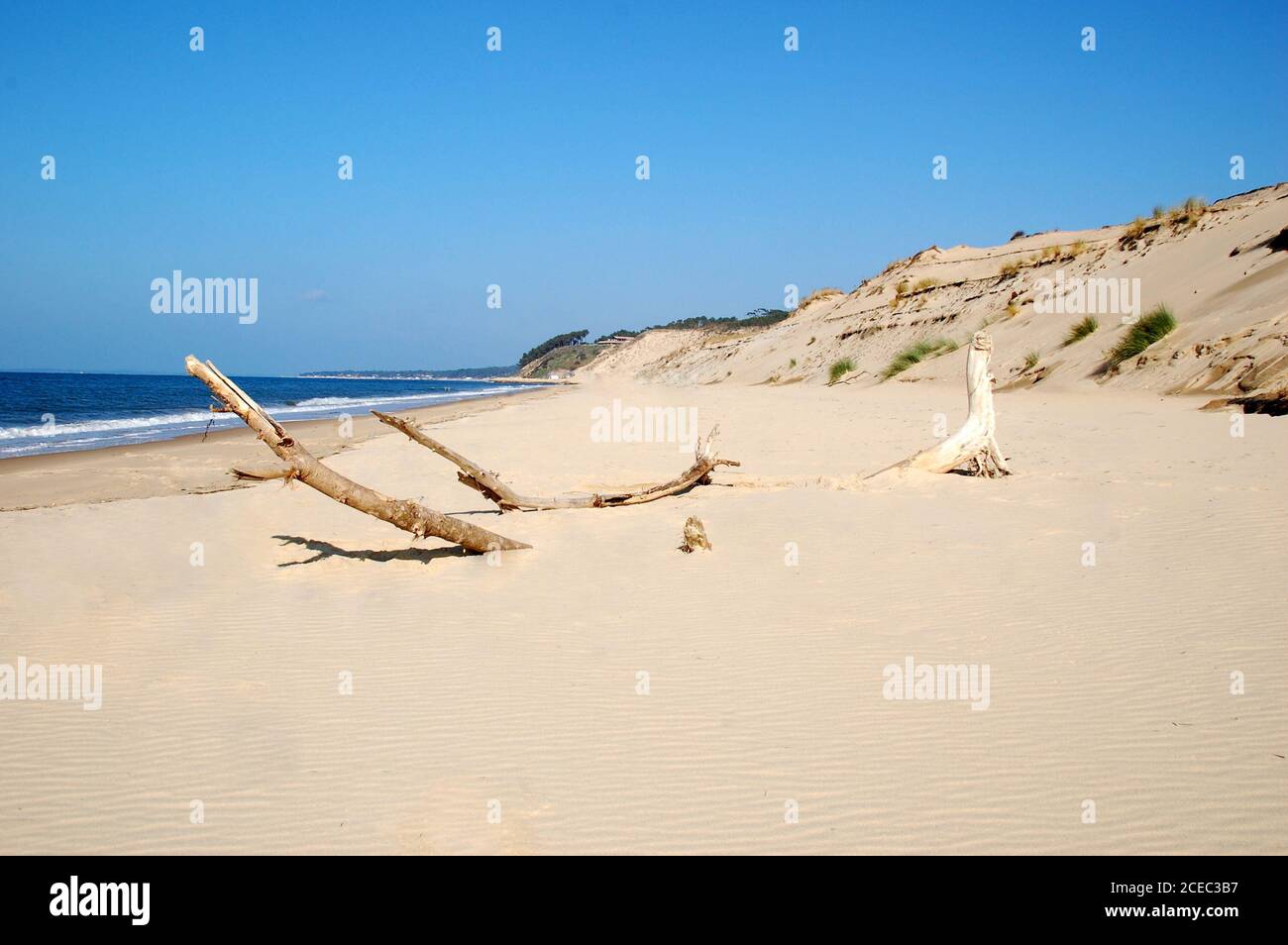 France, Aquitaine, gironde, bassin d'Arcachon, la plage au pied de la dune du Pilat, un magnifique site naturel sur la côte atlantique pour l'été. Banque D'Images