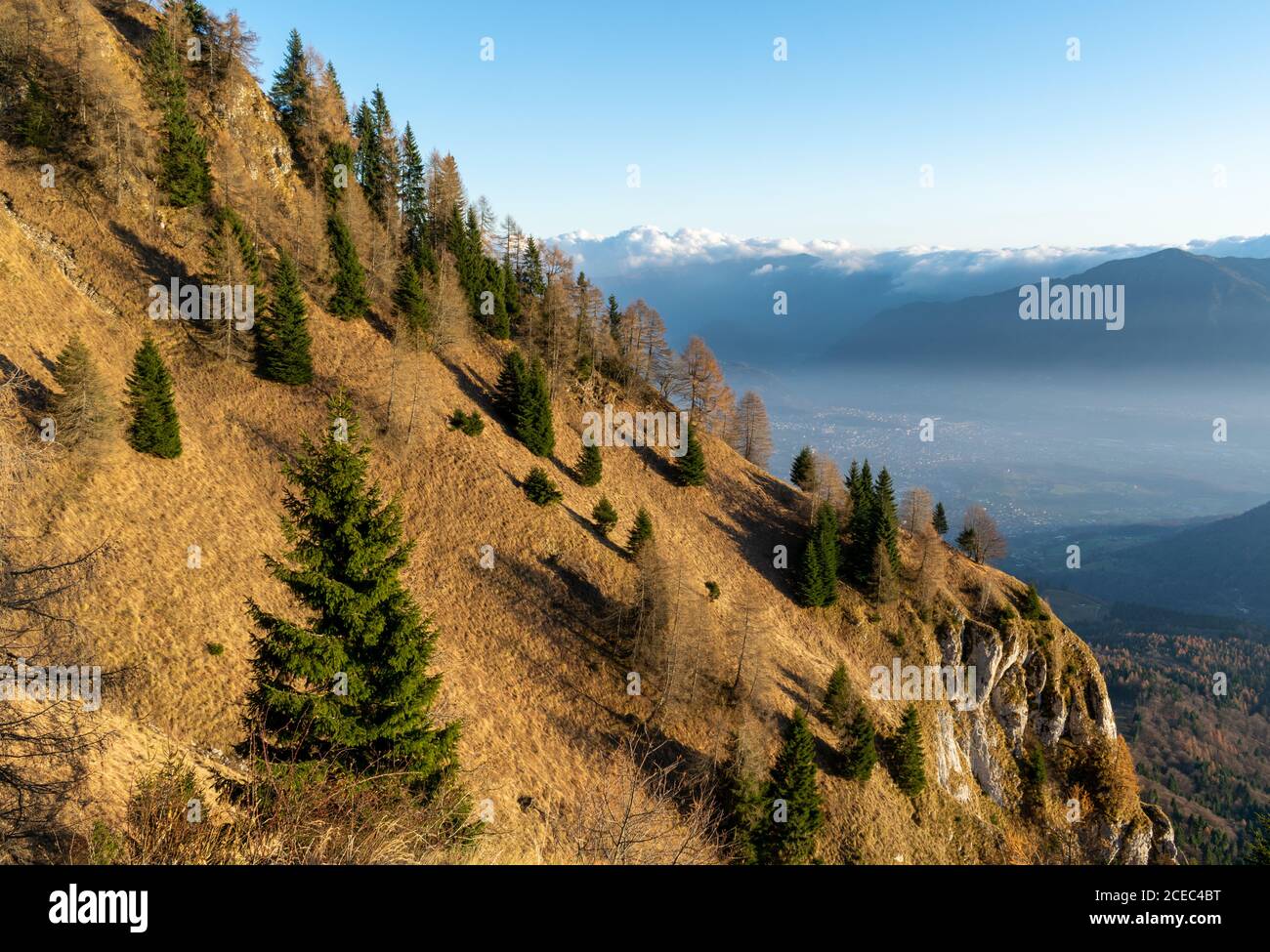 Montagne couverte d'arbres aux couleurs de l'automne et éclairée par les rayons du soleil couchant. Aperçu de la vallée au loin. Belluno, Italie Banque D'Images