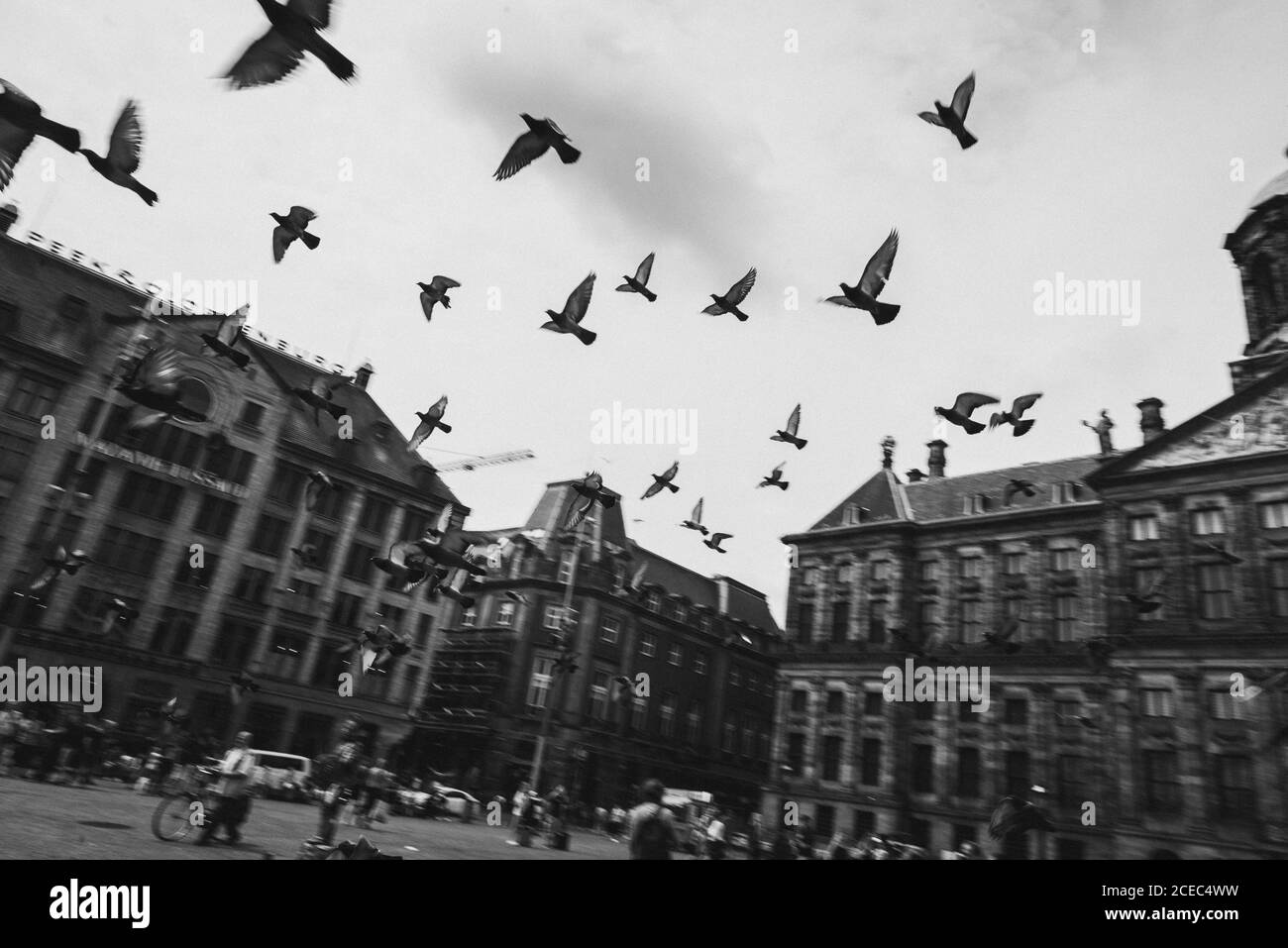 Ci-dessous d'oiseaux volant noir et blanc rétro entre bâtiments sur place en Hollande Banque D'Images