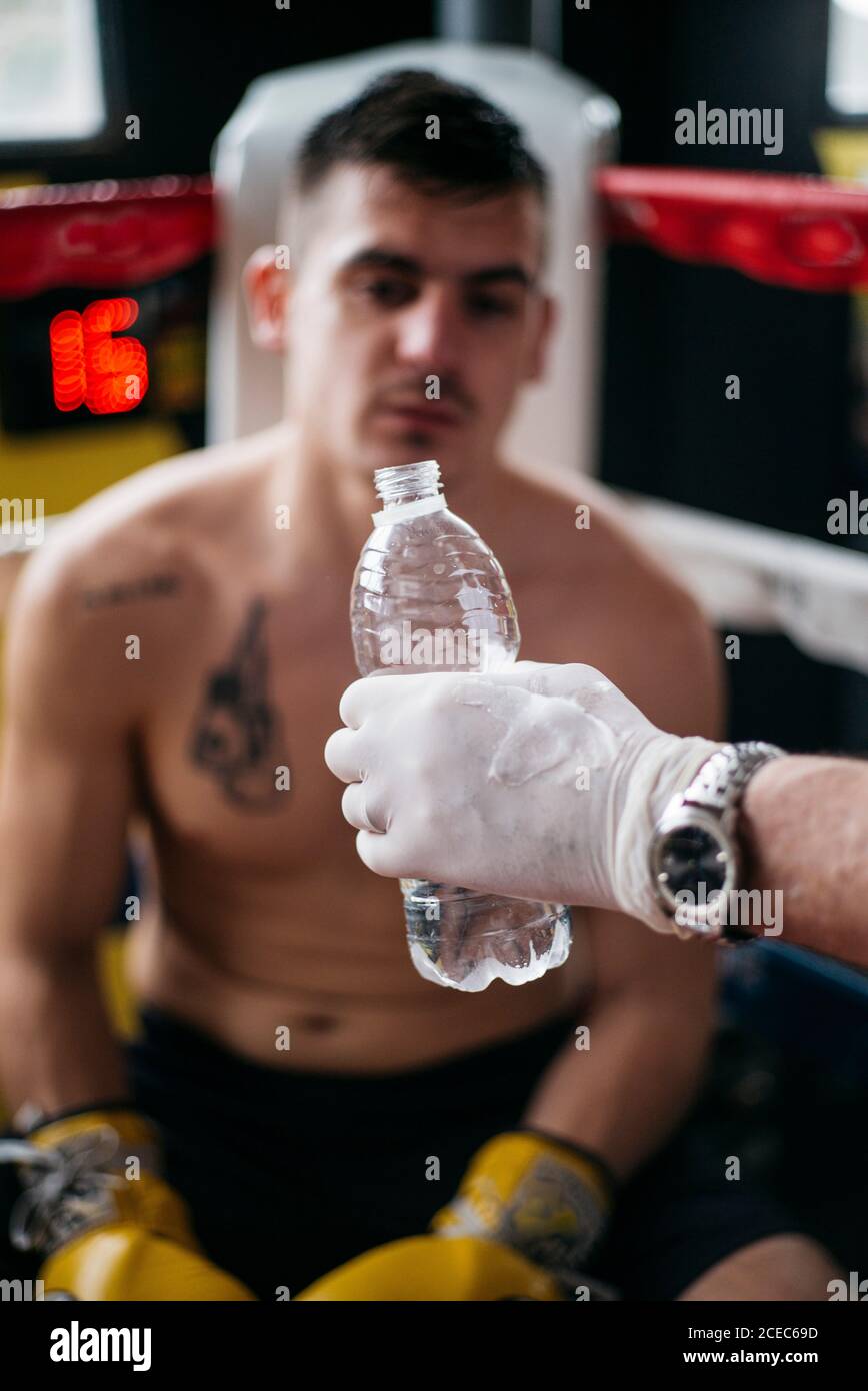 Crop main donnant une bouteille d'eau à boxer assis dans l'anneau. Banque D'Images