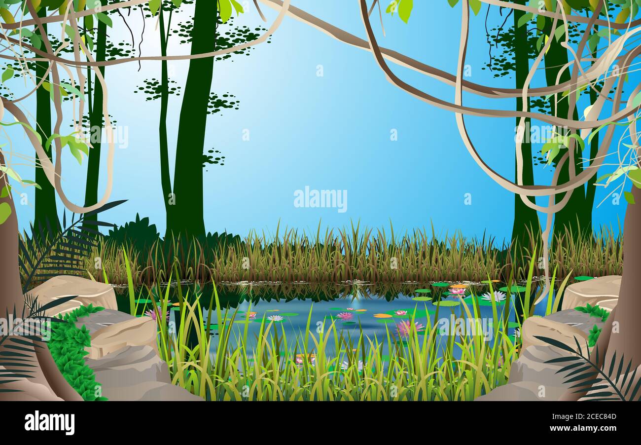 paysage d'étang dans la jungle Illustration de Vecteur