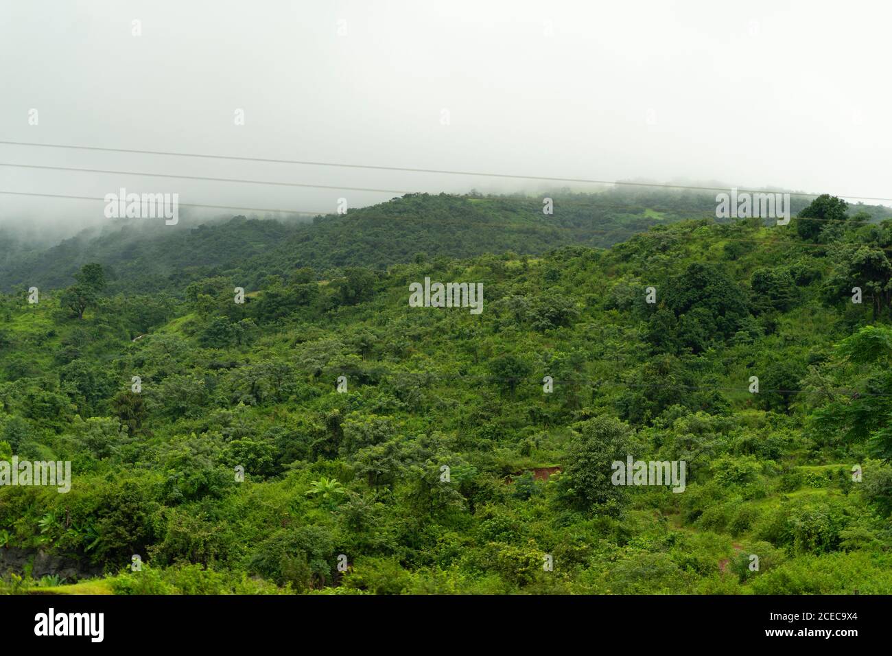Paysages de Ghats occidentaux avec chaîne de montagnes de Sahyadri, arbres luxuriants et verts Banque D'Images