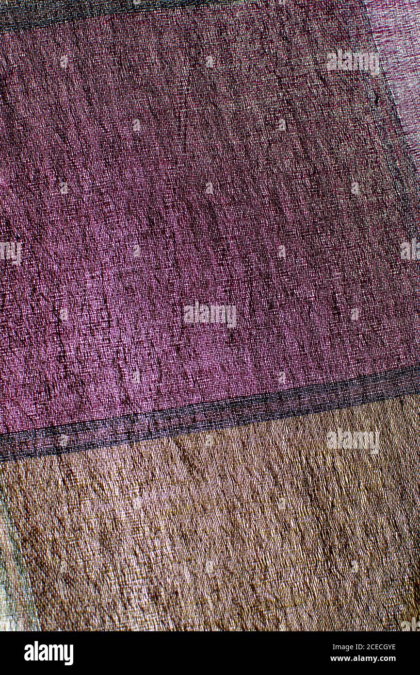 Gros plan de tissu de différentes couleurs et coutures en arrière-plan Banque D'Images