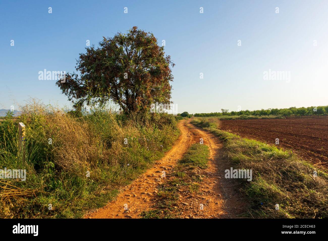 Lever du soleil le long de la Camino de Santiago et via Augusta de Castellon, Espagne Banque D'Images