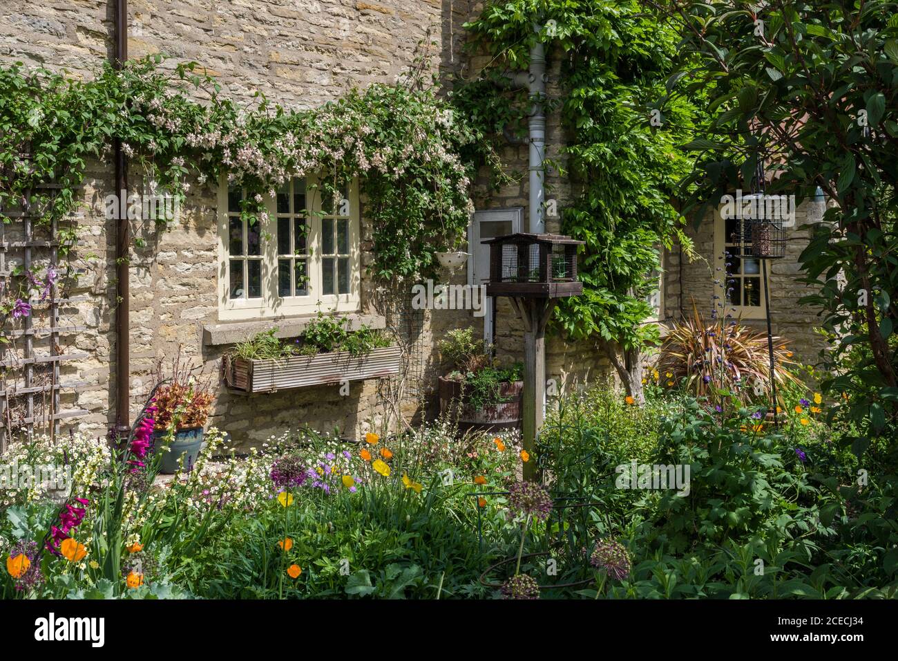 Jardin de chalet en été dans le village de Yardley Hastings, Northamptonshire, Royaume-Uni Banque D'Images