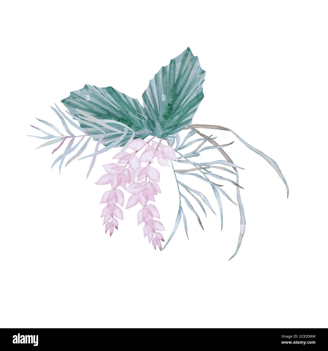 Composition avec des éléments de nature australienne. Isolé sur un fond blanc. Banque D'Images