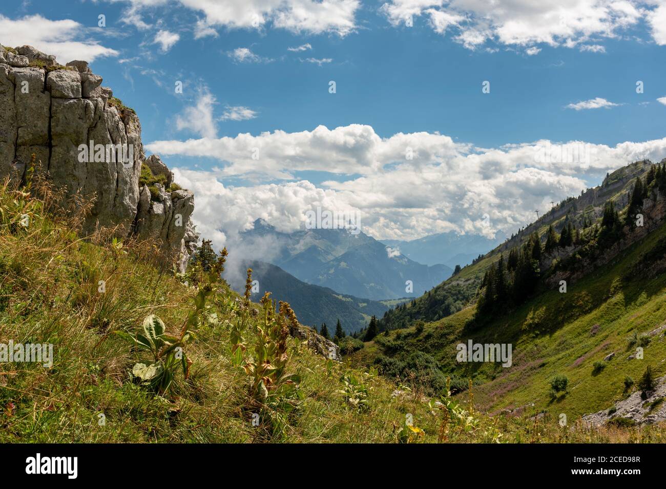 Vue sur les montagnes Gruyères depuis la montagne Berneuse, Suisse Banque D'Images