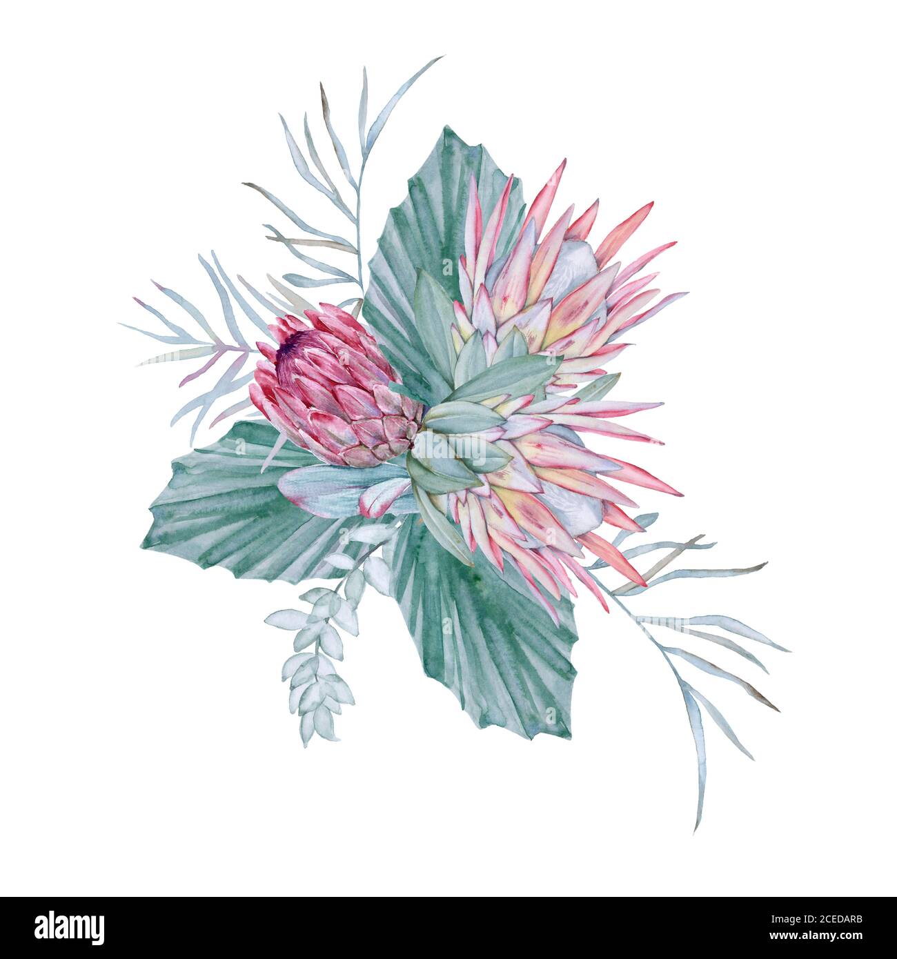 Composition avec des éléments de nature australienne. Isolé sur un fond blanc. Banque D'Images