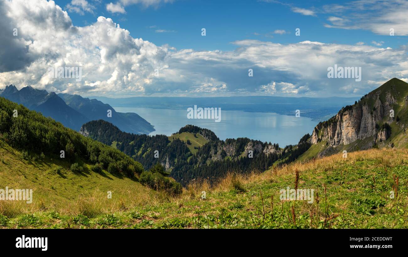 Vue sur le lac du Leman/Genève depuis les Alpes suisses. Paysage panoramique, Suisse Banque D'Images