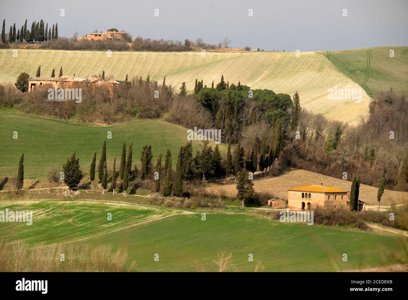 Paysage caractéristique du centre de la Toscane, Italie, près de Sienne Banque D'Images