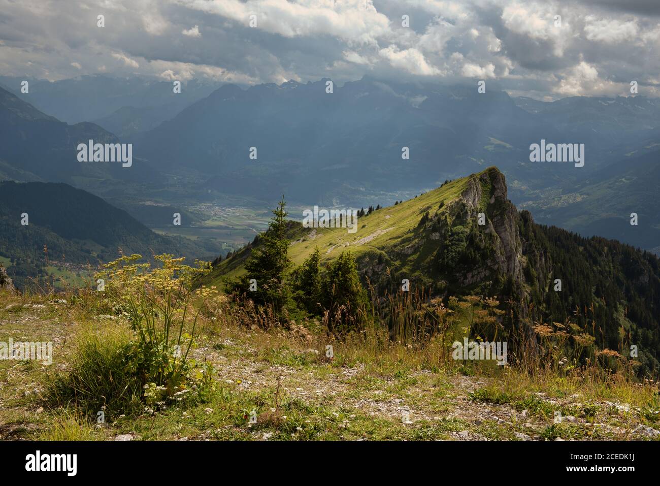 Vue sur les Alpes depuis la montagne Berneuse, Suisse Banque D'Images