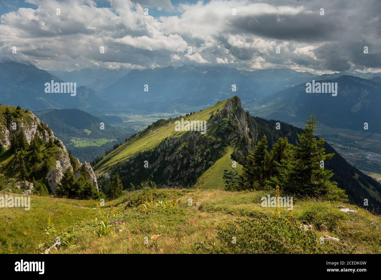 Vue sur les Alpes depuis la montagne Berneuse, Suisse Banque D'Images