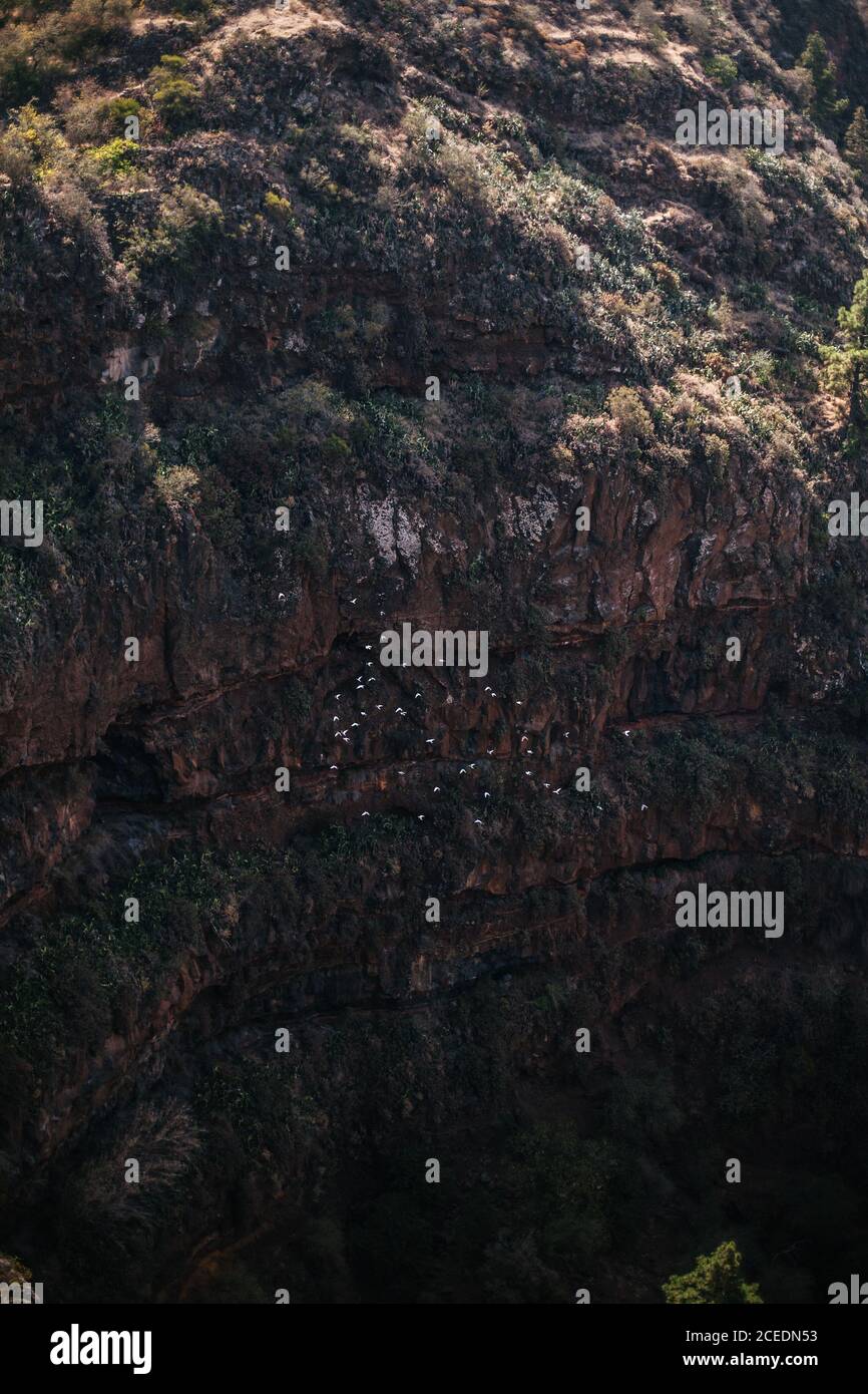 D'en haut de la vue des oiseaux volant haut au-dessus de la gouge verte avec la falaise rocheuse énorme, Espagne Banque D'Images