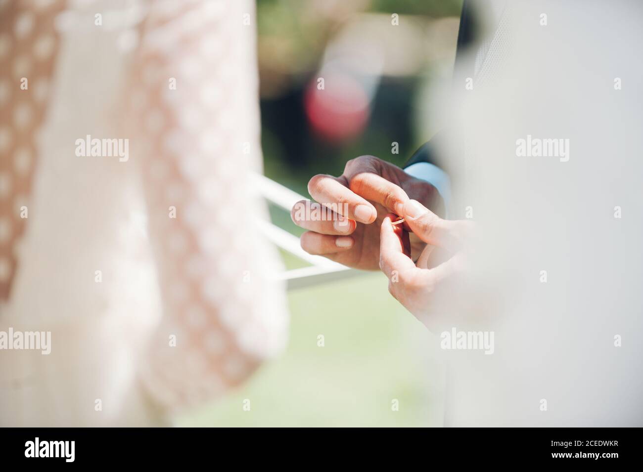 Jeune homme et femme échangeant des anneaux de mariage dans le jardin Banque D'Images